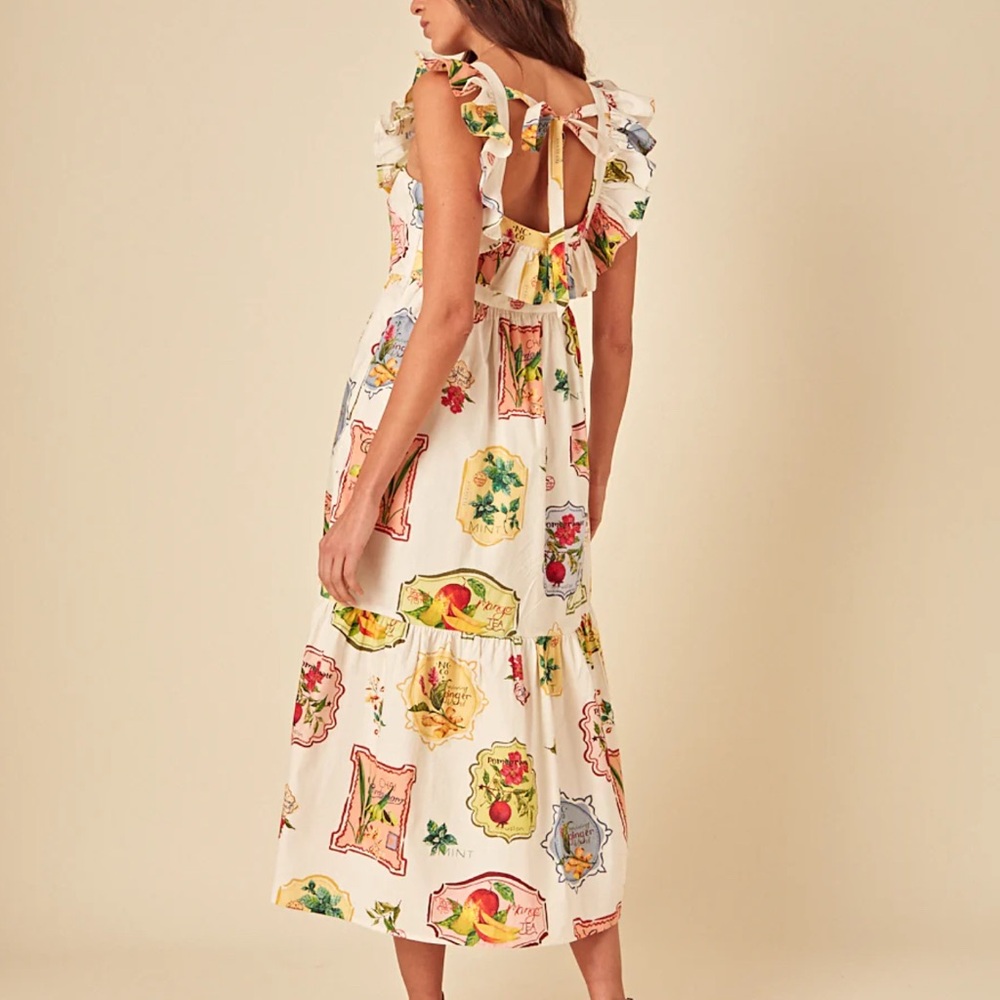 NWT! Nobody’s Child (ASOS) vintage inspired botanical print Cassidy midi / maxi